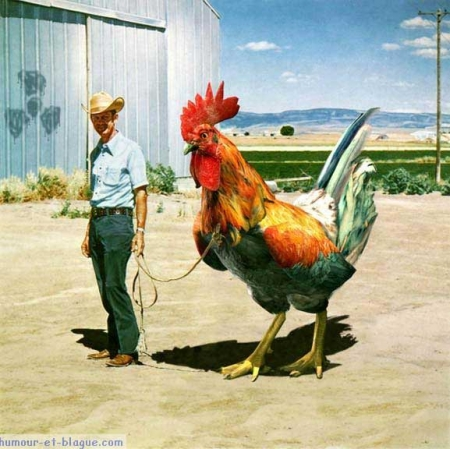 460>_641673
